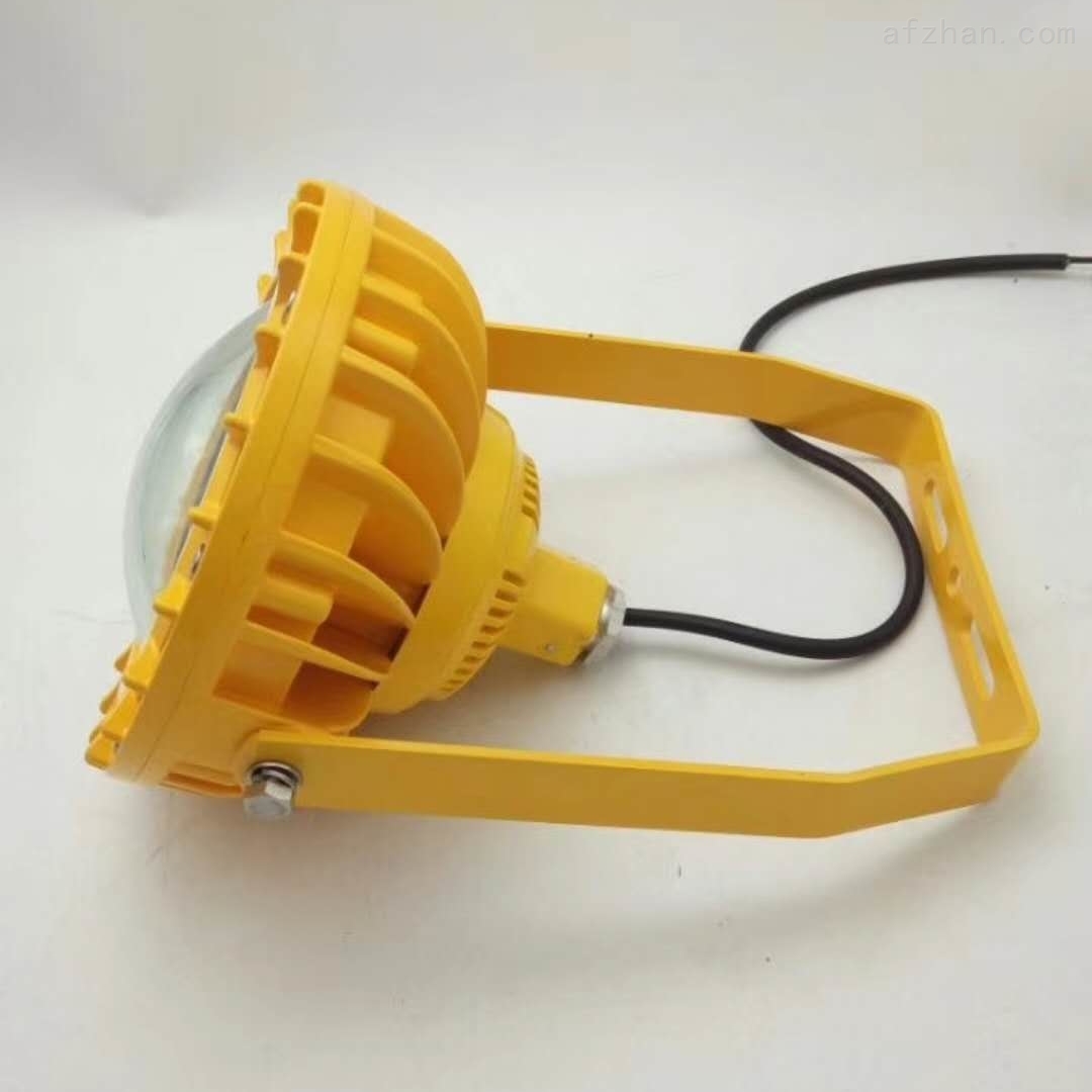 工厂LED防爆泛光灯100W IP66