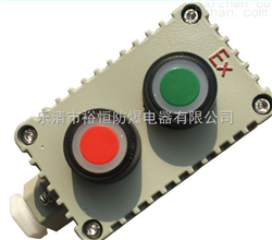 LA53-1/2/3防爆控制按钮开关盒带灯按钮