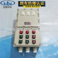 BXD51定制防爆控制箱
