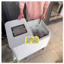 M54600鱼苗计数仪 型号:RD01-YD-F4 pro