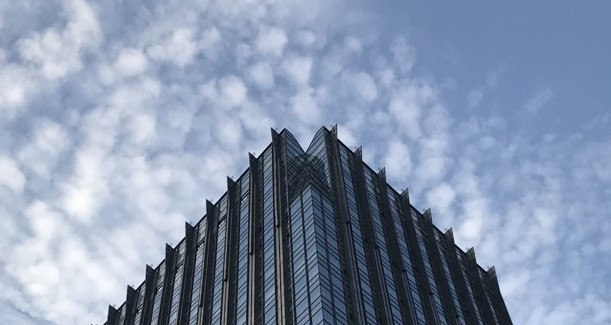 綠色屋頂：連接城市與自然的可持續之路