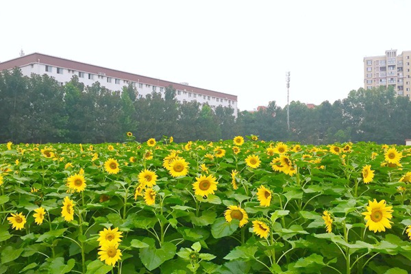 開學(xué)在即：科技織牢校園數(shù)智“安全網(wǎng)” 守護(hù)學(xué)生平安成長(zhǎng)