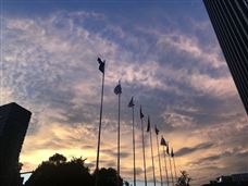 ���ݺ�Х�µ��ǻ۵������洢�粨�е���ս����ҵӦ��