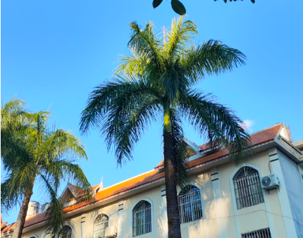 总金额近7亿 近期智慧城市领域中标项目汇总