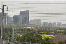 ���и��£��Ϸʽ������۴��