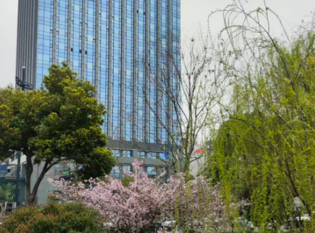 硬核护航！四维图新助力机器人马拉松全自主奔跑