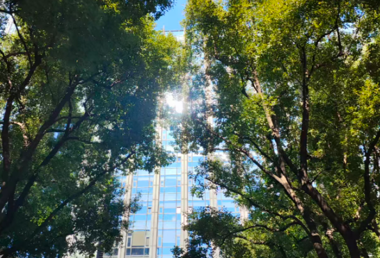 2026年一季度通信业经济运行情况：新型基础设施建设稳步推进