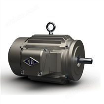 代理进口Reuland永磁电机风冷电机电动机