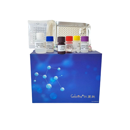 牛ELISA試劑盒 上海晶抗生物牛ELISA試劑盒實驗前準備要點